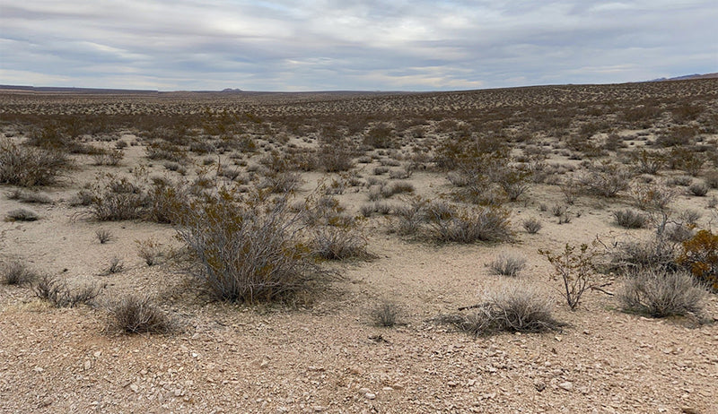2.55 Acres – Los Angeles County, CA - Big LA Lot: Room To Grow