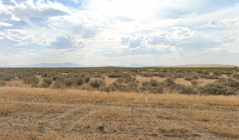 85.84 Acres – Humboldt County, NV - Massive extension, price lower than dirt