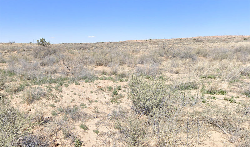 2.5 Acres – Socorro County, NM - No HOA. No Rules. Just 2.5 Acres of Pure Socorro Desert Freedom