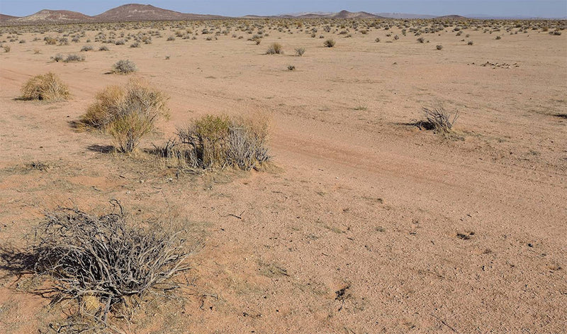 2.54 Acres – Kern County, CA - The Swiss Army Knife Of Land!