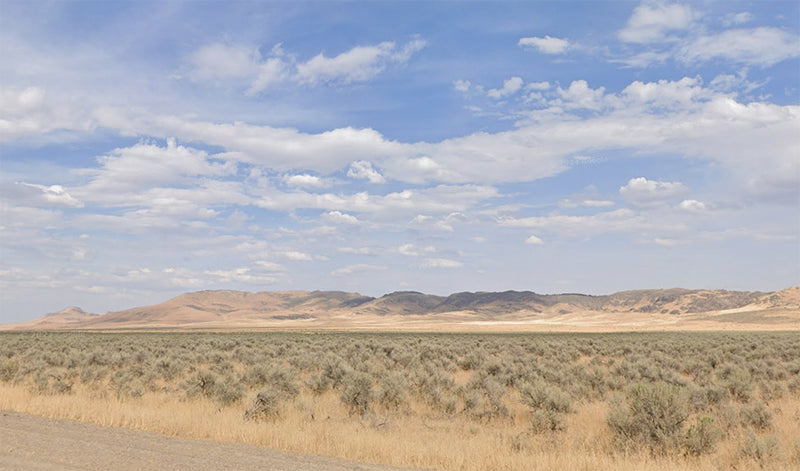 42.93 Acres – Humboldt County, NV - Dirt cheap price, shrubs included free