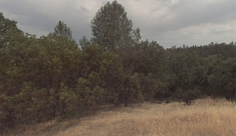 1.65 Acres – Tehama County, CA - Fly in, fish out, save big!