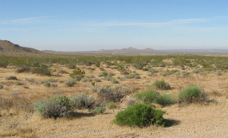 2.52 Acres – Kern County, CA - Buy The Dirt, Keep The Change!