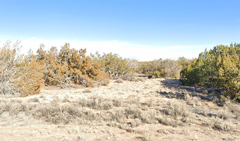 40 Acres – Apache County, AZ - 40 Acres of Tranquility Big Arizona Views, Less Stress