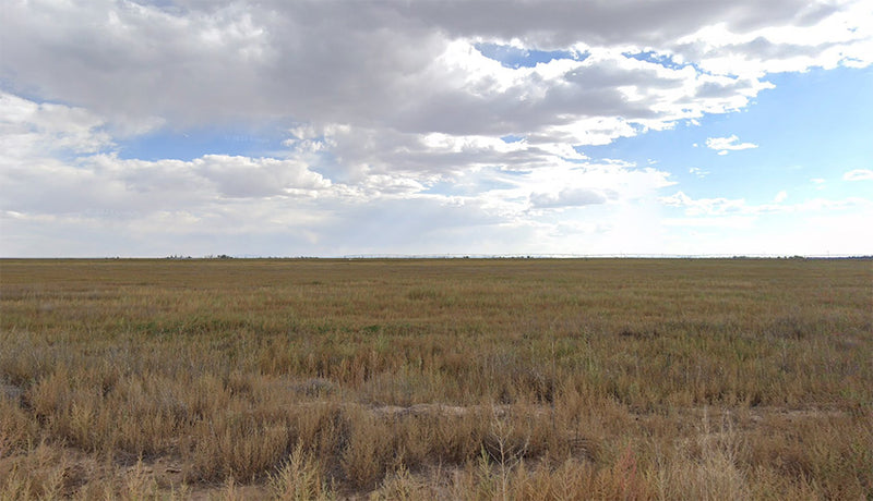2 Acres – Torrance County, NM - Shooting-star deal: zero light pollution, rock-bottom price!