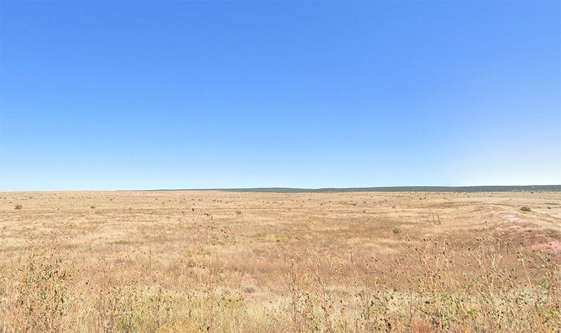 1 Acre – Torrance County, NM - Investors only: High desert, grounded price!