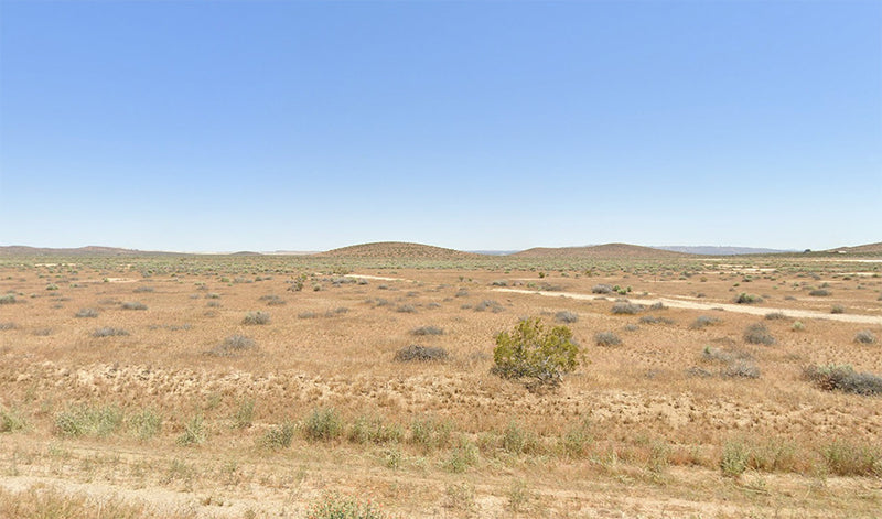 2.5 Acres – Kern County, CA - A Lot of Land for a Lot of Ideas (Some of Them Brilliant)