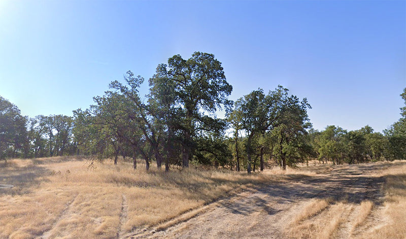 0.26 Acres – Tehama County, CA - Buy low, live high—best price around!
