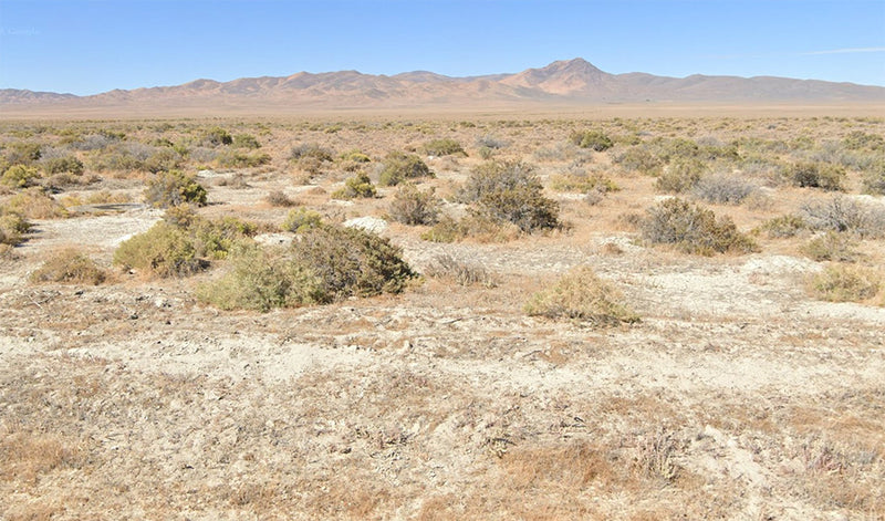 40 Acres – Pershing County, NV - Bet the desert: giant yield, tiny price!