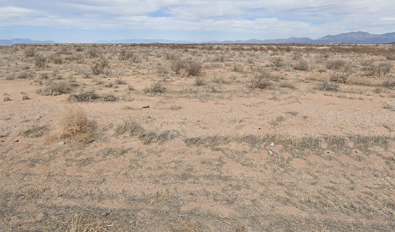 0.51 Acres – Cochise County, AZ - Valley-low tax dues, buy now!