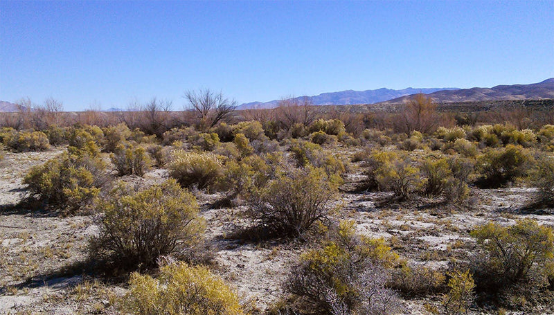 42.2 Acres – Humboldt County, NV - Escape the Ordinary. Embrace the Extraordinary