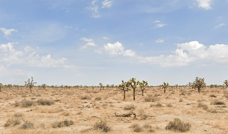 2.54 Acres – Los Angeles County, CA - No valley low, just peaks high!