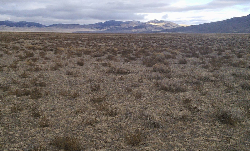 40.1 Acres –  Humboldt County, NV - The best desert land purchase, ever.