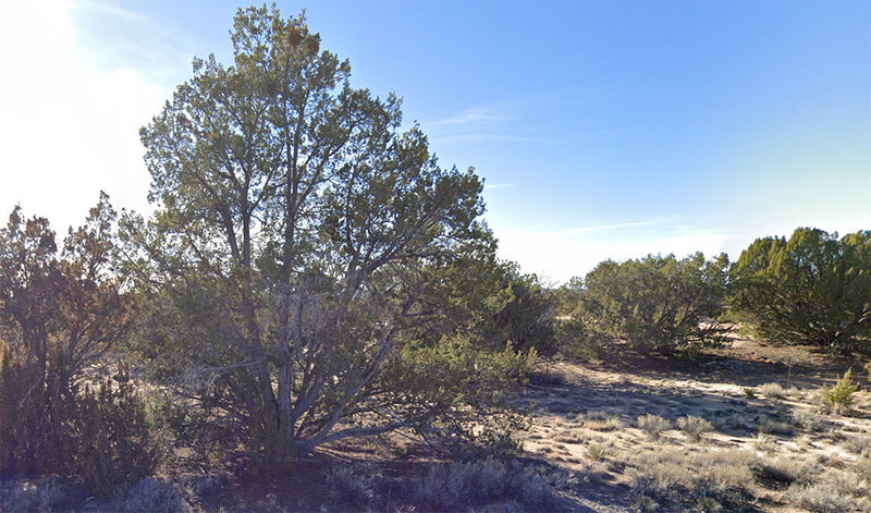 40 Acres – Apache County, AZ - 40 Acres of Tranquility Big Arizona Views, Less Stress