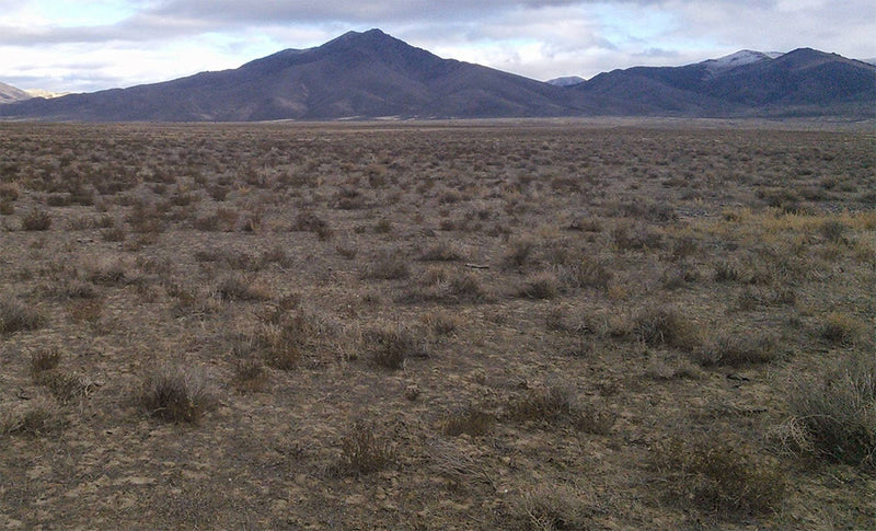 40.1 Acres –  Humboldt County, NV - The best desert land purchase, ever.