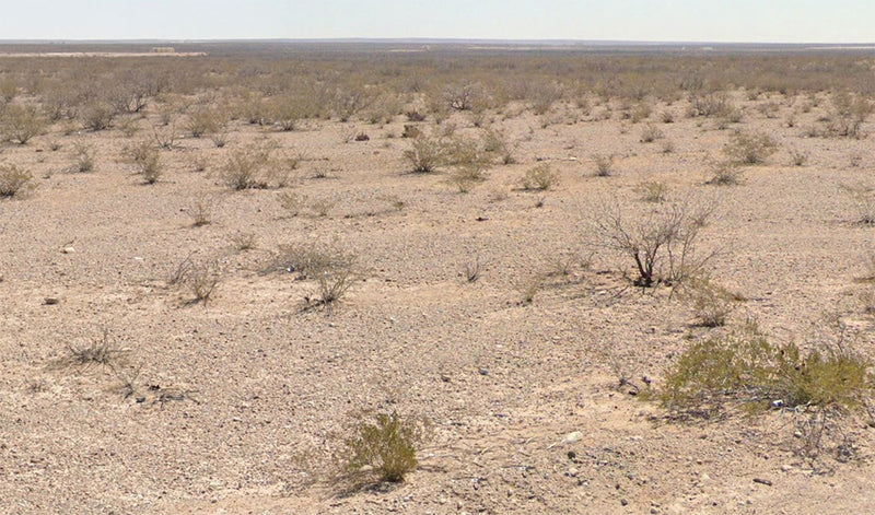 5.1 Acres – Ward County, TX - Own this giant sandbox, rules optional!