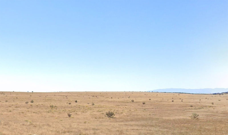 1 Acre – Torrance County, NM - Investors only: High desert, grounded price!