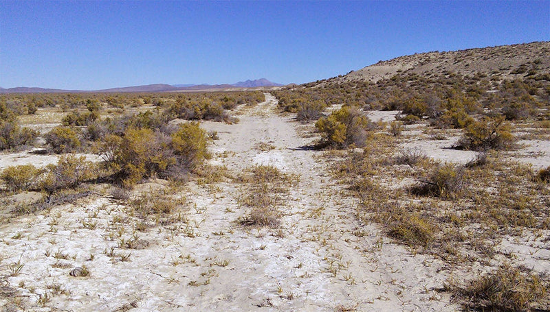 42.2 Acres – Humboldt County, NV - Escape the Ordinary. Embrace the Extraordinary