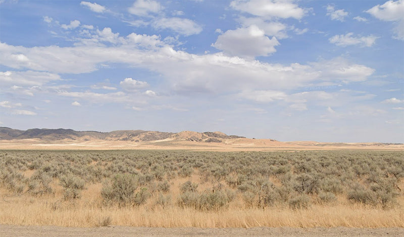 42.93 Acres – Humboldt County, NV - Dirt cheap price, shrubs included free