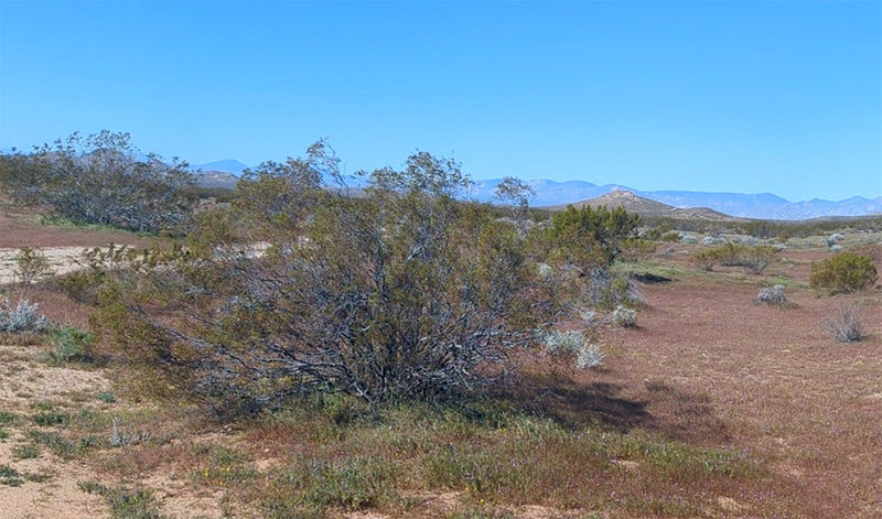 2.5 Acres – Kern County, CA - Big Sky, Big Space, Zero Neighbors (Almost)