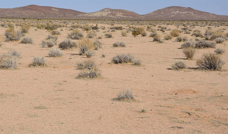 2.54 Acres – Kern County, CA - The Swiss Army Knife Of Land!