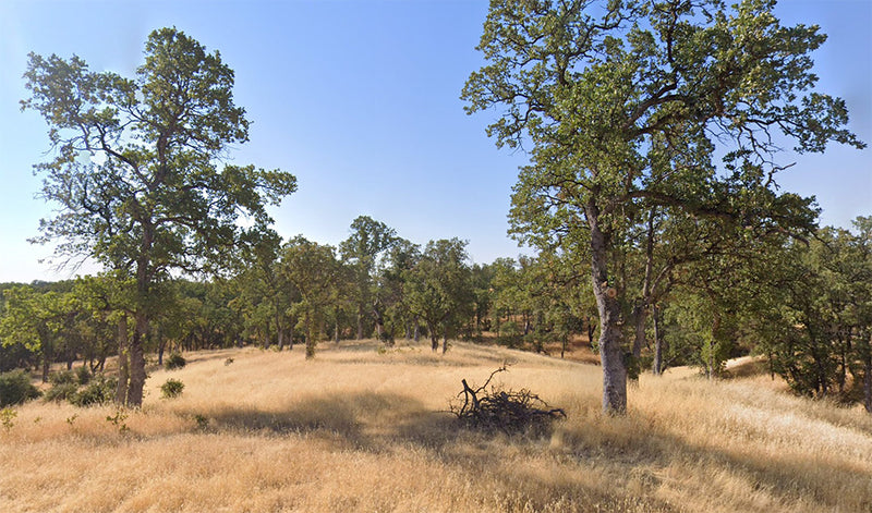 0.26 Acres – Tehama County, CA - Buy low, live high—best price around!