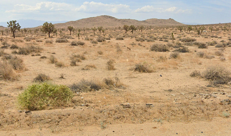 2.54 Acres – Los Angeles County, CA - No valley low, just peaks high!