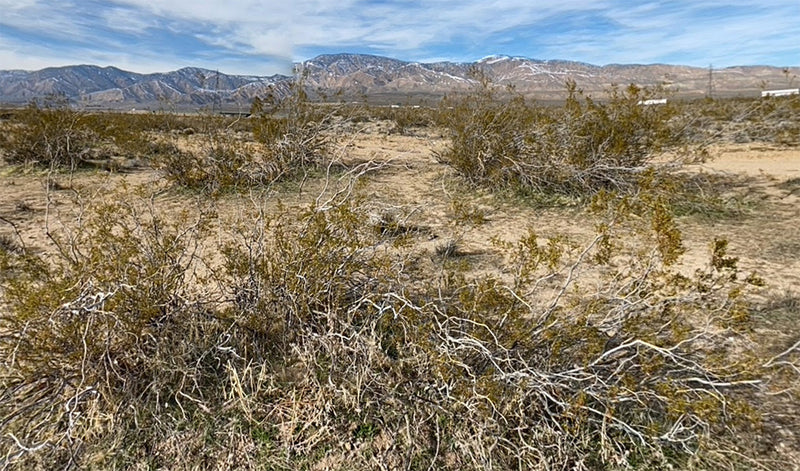 0.11 Acres – Kern County, CA - Tiny But Mighty (No Riding Mower Required)