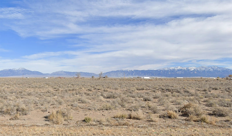 5.54 Acres – Alamosa County, CO - Frontage access, snappy gators, absolute bargain