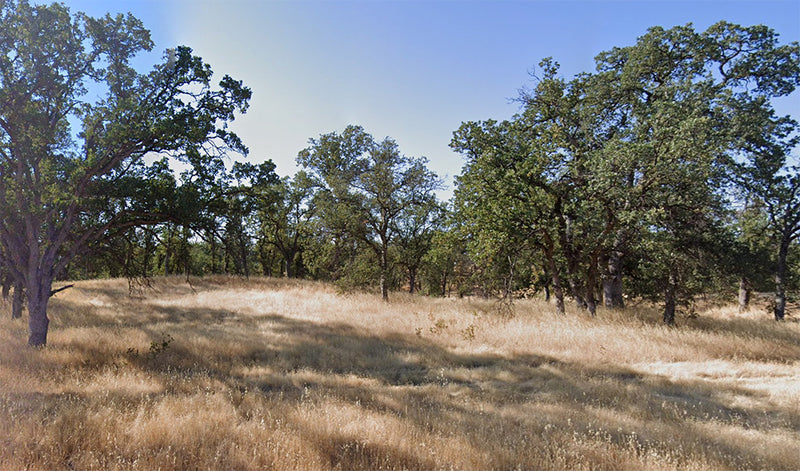 0.26 Acres – Tehama County, CA - Buy low, live high—best price around!