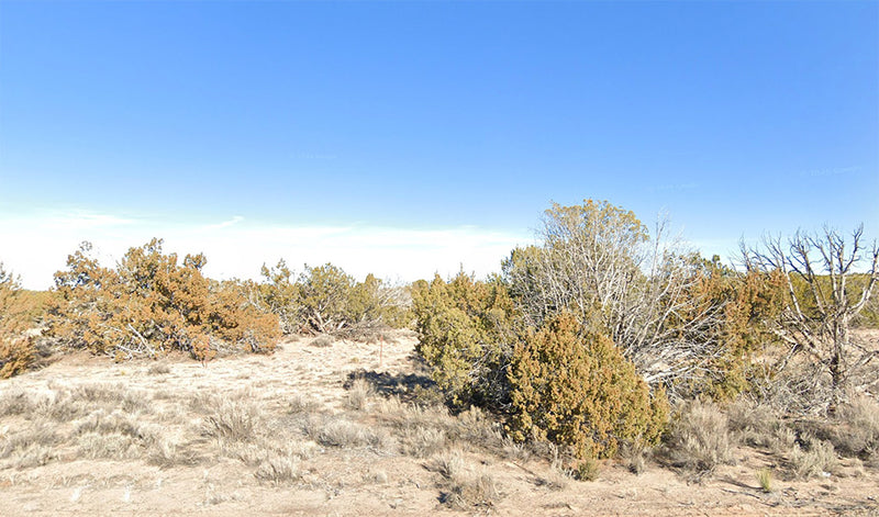 40 Acres – Apache County, AZ - 40 Acres of Tranquility Big Arizona Views, Less Stress