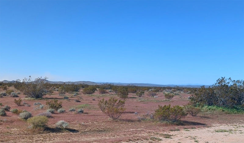 2.5 Acres – Kern County, CA - Big Sky, Big Space, Zero Neighbors (Almost)