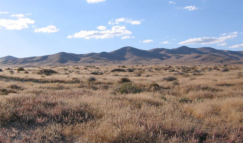 40 Acres – Pershing County, NV - Bet the desert: giant yield, tiny price!