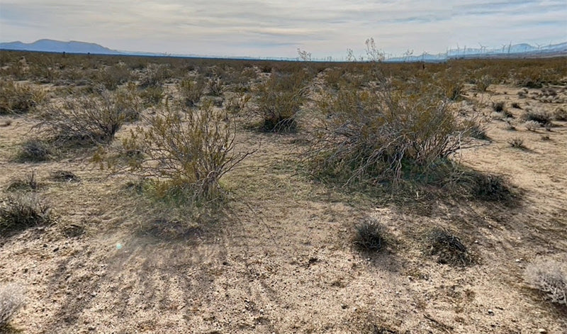 0.11 Acres – Kern County, CA - Tiny But Mighty (No Riding Mower Required)