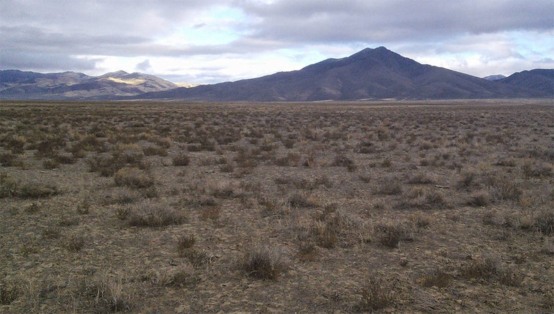 40.1 Acres –  Humboldt County, NV - The best desert land purchase, ever.