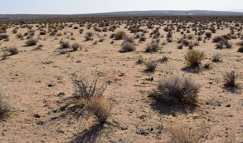 2.54 Acres – Kern County, CA - The Swiss Army Knife Of Land!