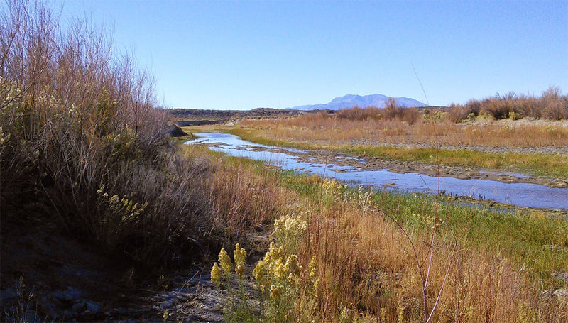 42.2 Acres – Humboldt County, NV - Escape the Ordinary. Embrace the Extraordinary