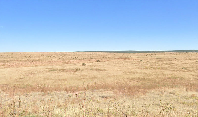 1 Acre – Torrance County, NM - Investors only: High desert, grounded price!