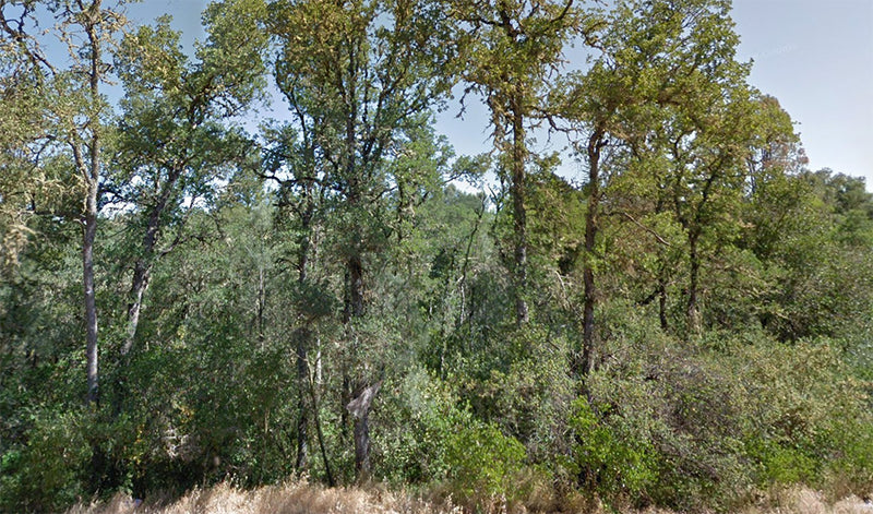 0.11 Acres – Lake County, CA - Small Lot, Big I Own Land Energy