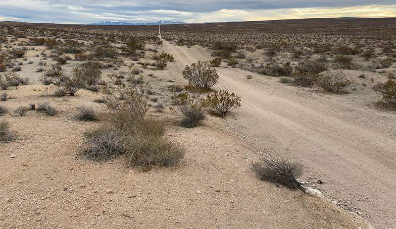 2.55 Acres – Los Angeles County, CA - Big LA Lot: Room To Grow
