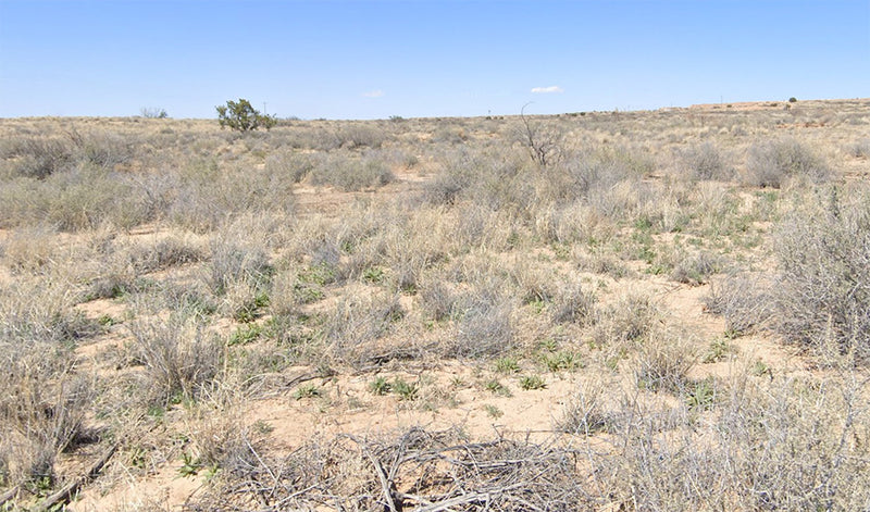 2.5 Acres – Socorro County, NM - No HOA. No Rules. Just 2.5 Acres of Pure Socorro Desert Freedom