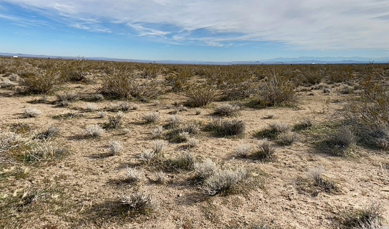 0.11 Acres – Kern County, CA - Tiny But Mighty (No Riding Mower Required)