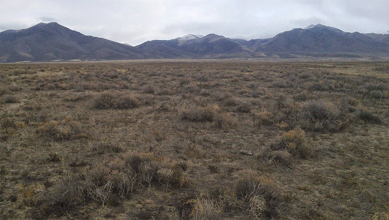 40.1 Acres –  Humboldt County, NV - The best desert land purchase, ever.