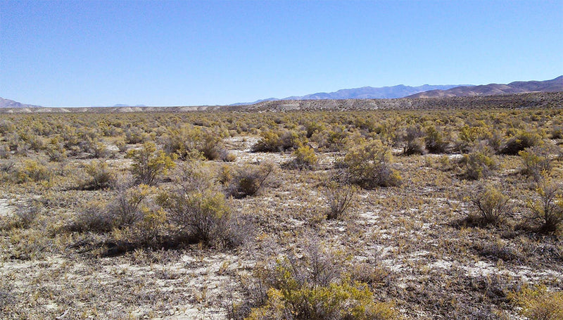 42.2 Acres – Humboldt County, NV - Escape the Ordinary. Embrace the Extraordinary