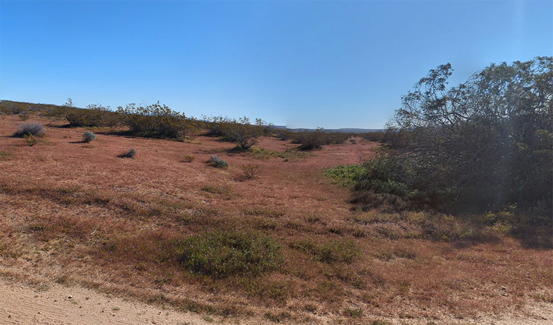2.5 Acres – Kern County, CA - Big Sky, Big Space, Zero Neighbors (Almost)