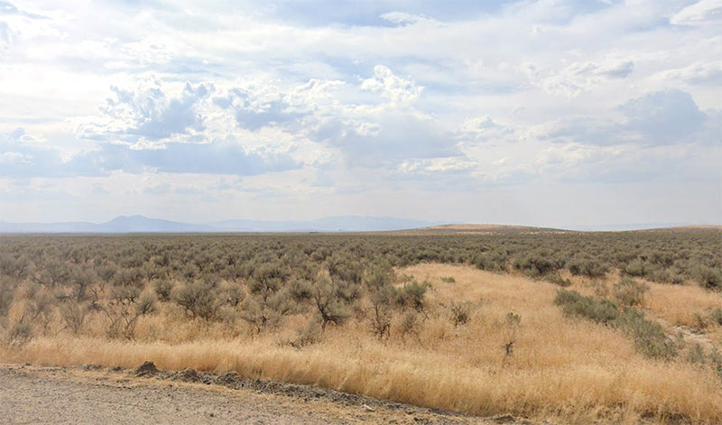 85.84 Acres – Humboldt County, NV - Massive extension, price lower than dirt