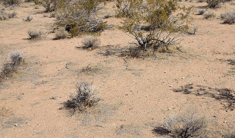 0.11 Acres – Kern County, CA - Tiny Lot, Big California Energy