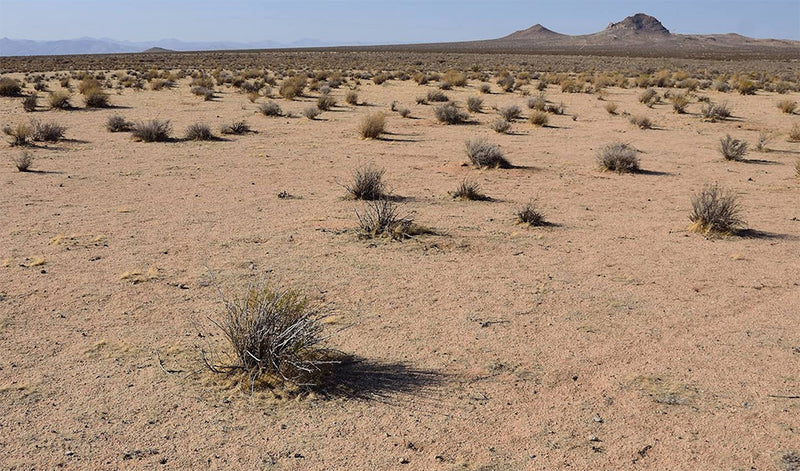 2.54 Acres – Kern County, CA - The Swiss Army Knife Of Land!
