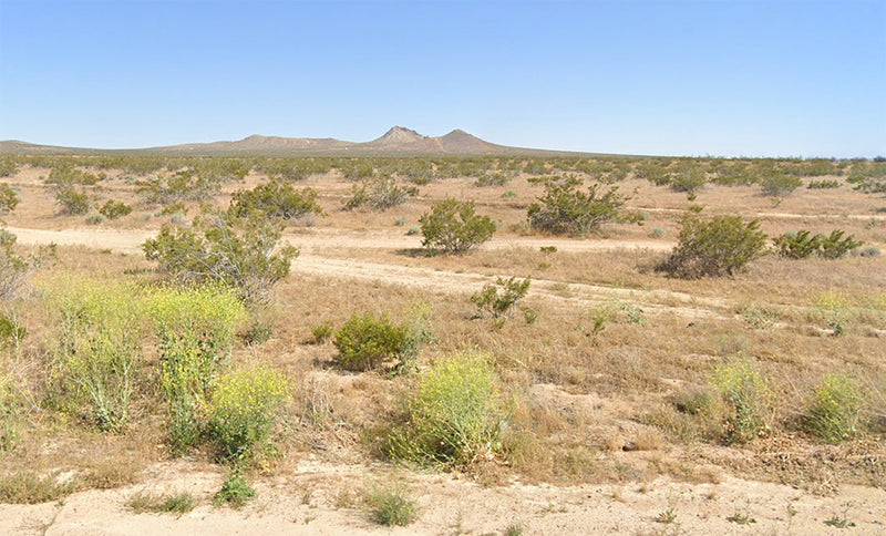 2.52 Acres – Kern County, CA - Buy The Dirt, Keep The Change!