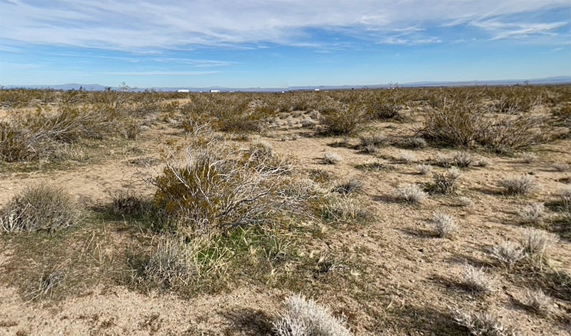 0.11 Acres – Kern County, CA - Tiny But Mighty (No Riding Mower Required)